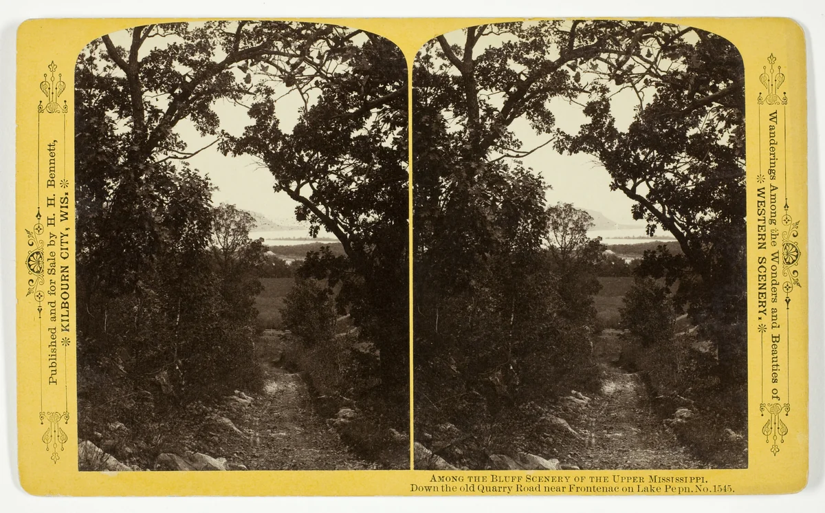 Down the old Quarry Road near Frontenac on Lake Pepin, , No. 1545 from the series "Among the Bluff Scenery of the Upper Mississippi" by Henry Hamilton Bennett, photograph, 1870-1908