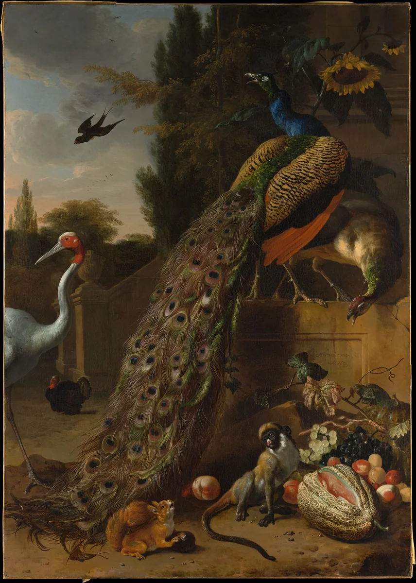Peacocks by Melchior d' Hondecoeter, painting, 1683