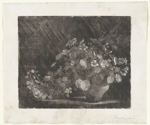 Oost-Indische kers in een stenen pot by Arnout Rentinck, print, 1722-1775