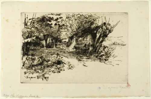 The Willows by Francis Seymour-Haden, print, 1872-1882