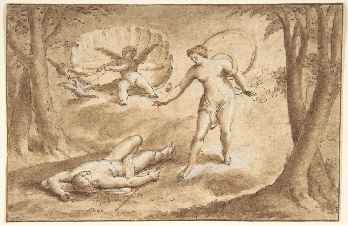 Venus Discovering the Death of Adonis by anonymous, drawing, 1600-1700