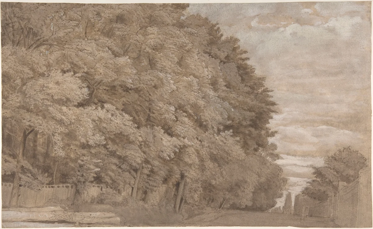 Large Forest (recto); A tree-lined lane with figure (verso) by Johannes Leupenius, drawing, 1600-1700