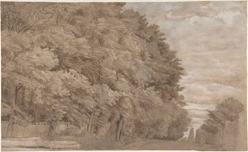 Large Forest (recto); A tree-lined lane with figure (verso) by Johannes Leupenius, drawing, 1600-1700