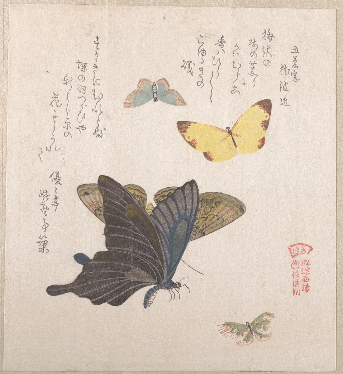 Various Moths and Butterflies by Kubo Shunman (窪俊満), print, 1800-1899
