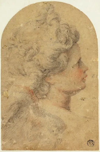 Woman's Profile to Right by Camillo Procaccini, drawing, 1571-1629