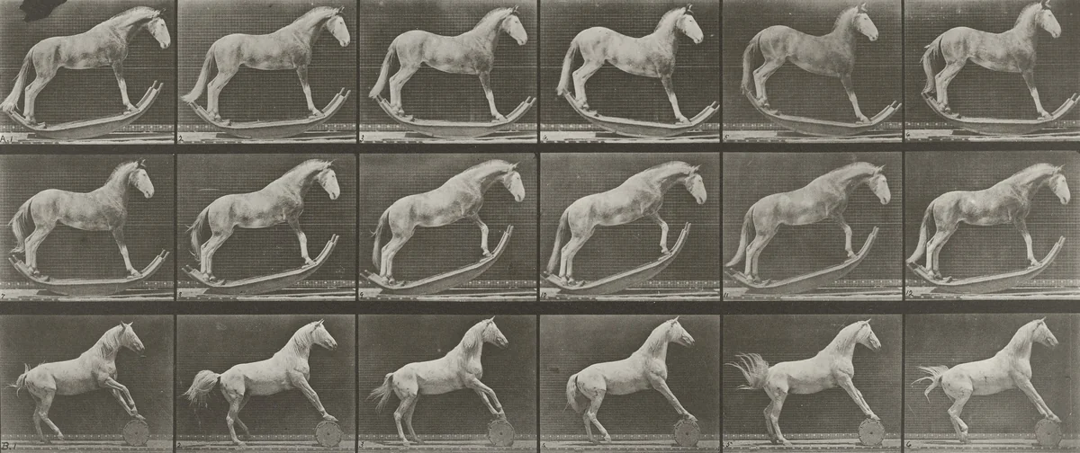 "Hornet" Rocking; "Eagle" Rolling a Barrel: Plate 649 from Animal Locomotion (1887) by Eadweard Muybridge, photograph, 1884
