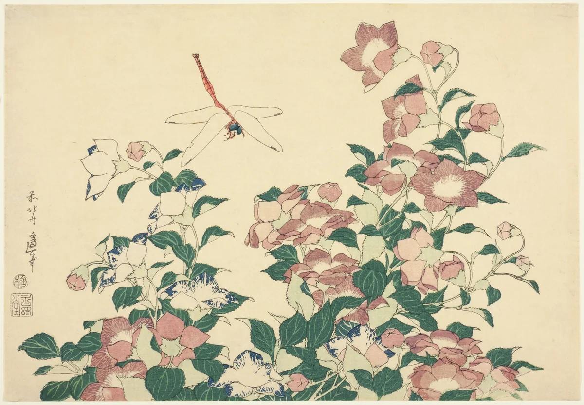Bell-Flower and Dragonfly, from an untitled series of large flowers by Katsushika Hokusai (葛飾 北斎), print, 1827-1837
