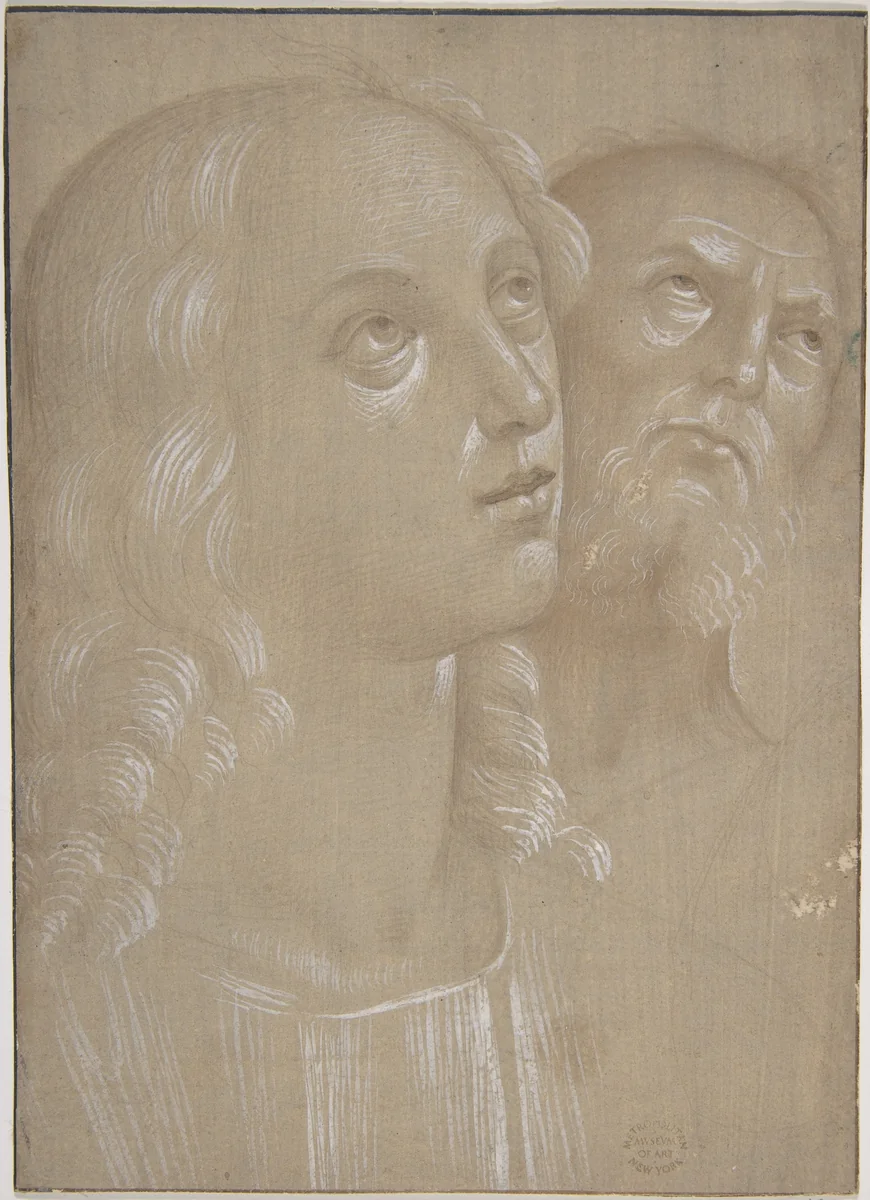 Heads of Two Saints by Pietro di Cristoforo Vannucci, drawing, 1495-1510