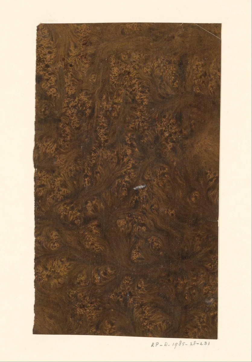 Boomwortelmarmer in bruin en geel by anonymous, other, 1800-1950