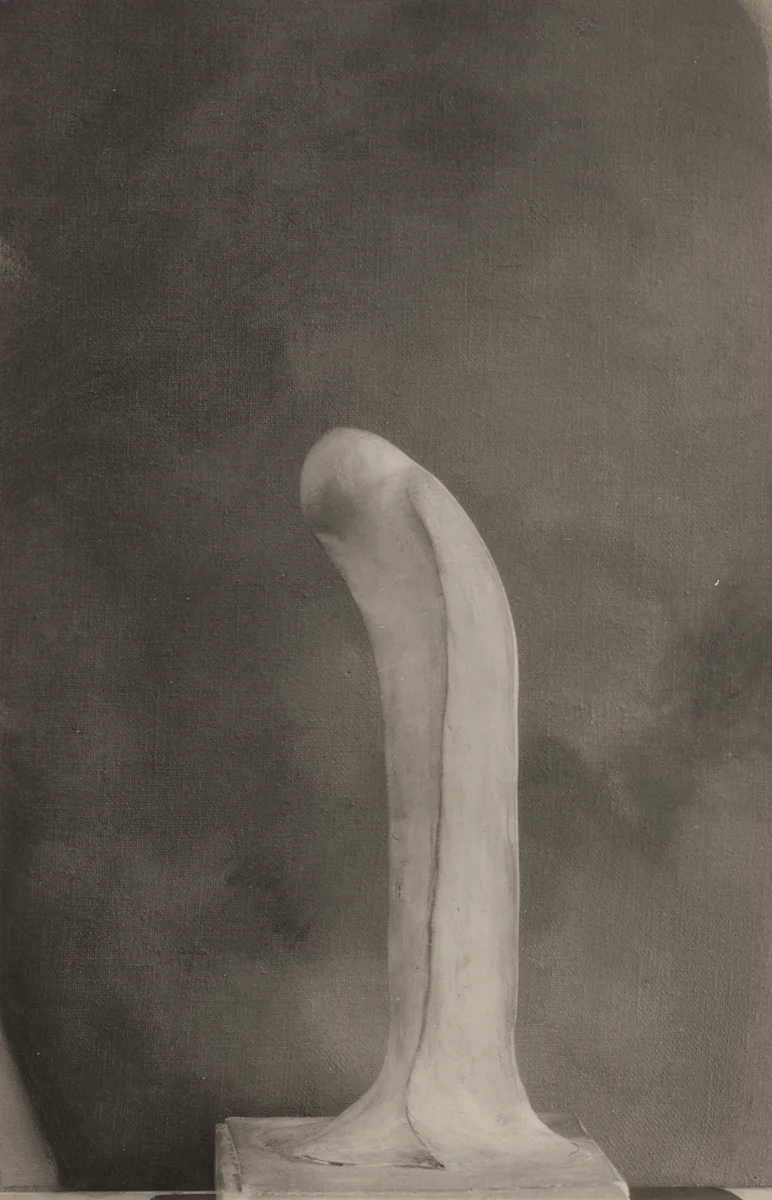 Interpretation by Alfred Stieglitz, photograph, 1919