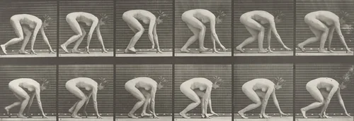 Woman Walking on Hands and Feet: Plate 183 from Animal Locomotion (1887) by Eadweard Muybridge, photograph, 1884