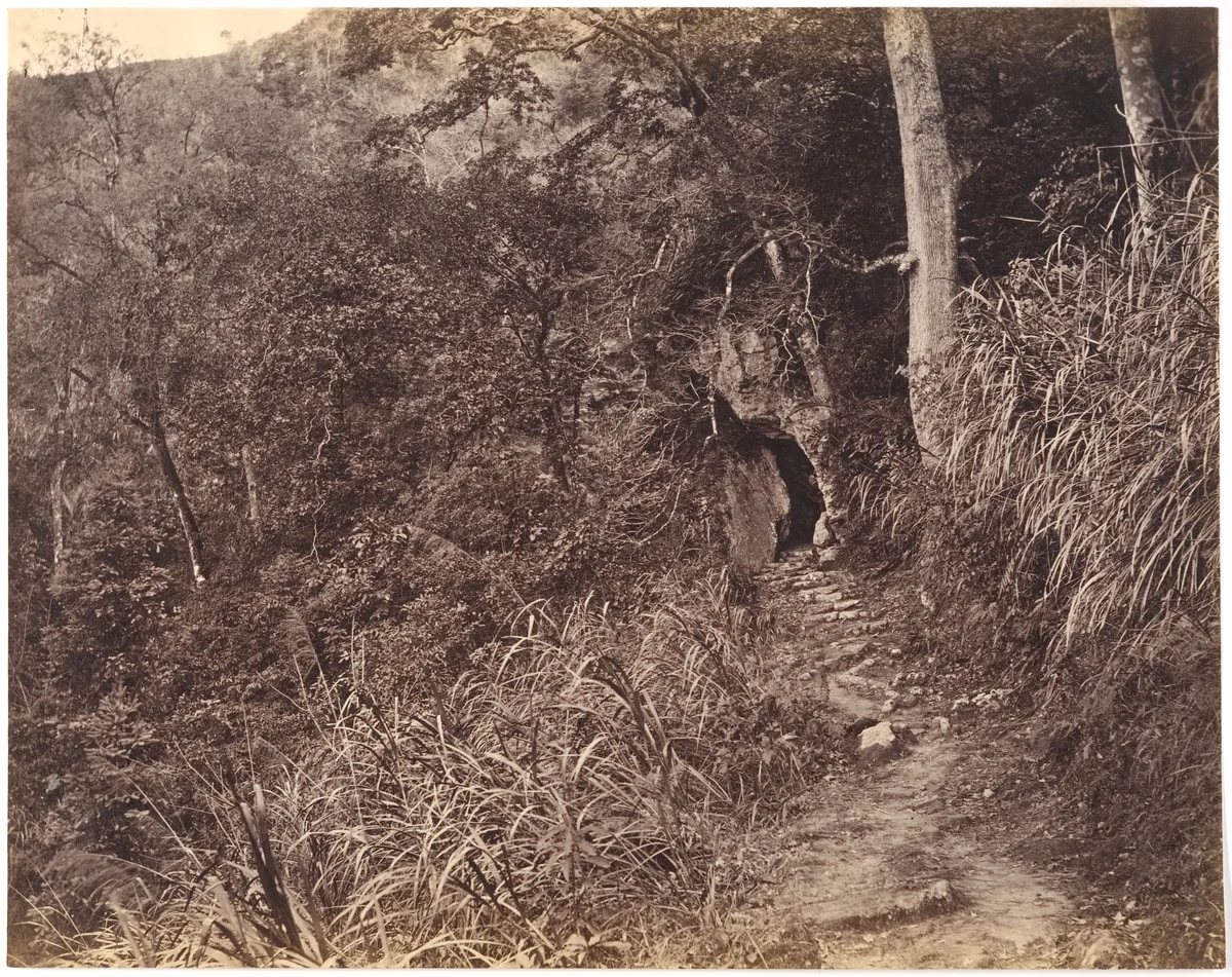 Left Road up to Yuen foo Monastery by Lai Afong, photograph, 1869