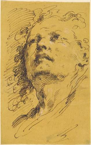 Head of a Man Looking Up by Pietro Antonio Novelli, drawing, 1770-1779