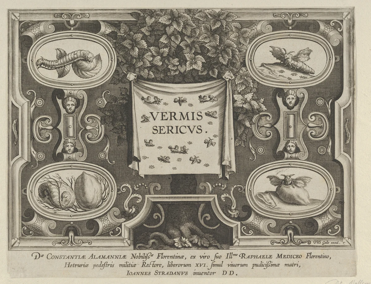 Title Plate from "The Introduction of the Silkworm" [Vermis Sericus] by Karel van Mallery, print, 1595