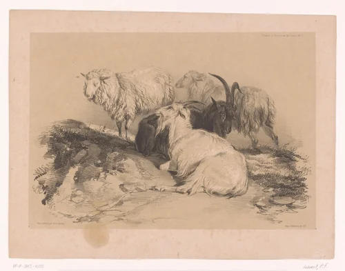 Studie van schapen en geiten by Pierre Frédéric Lehnert, print, 1838-1840