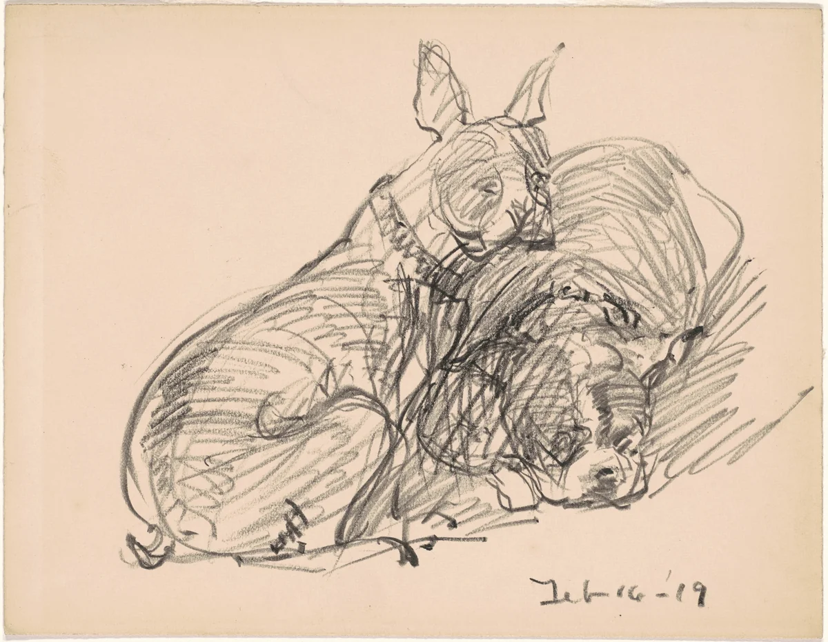 Two Dogs by Charles H. Woodbury, drawing, 1919