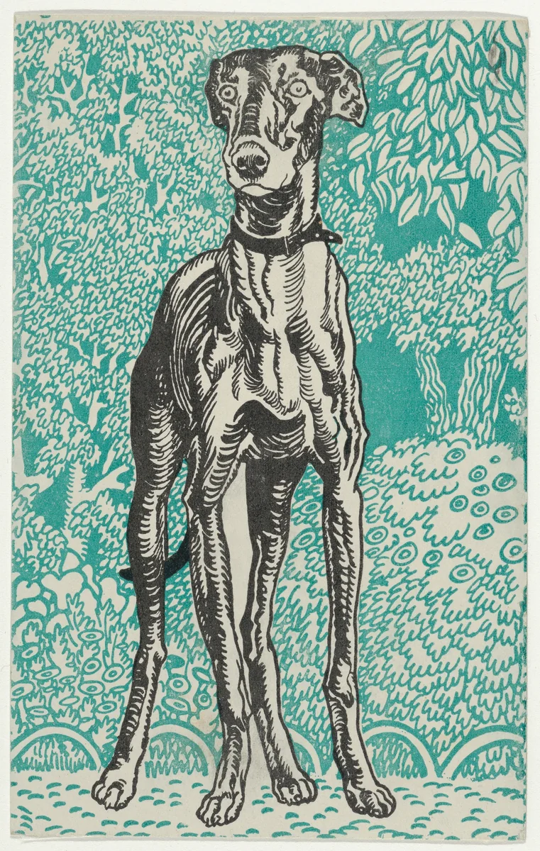 Greyhound by Moriz Jung, print, 1912
