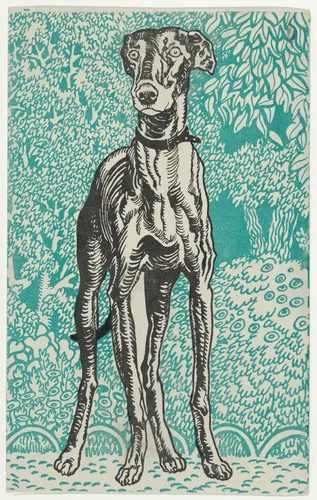 Greyhound by Moriz Jung, print, 1912