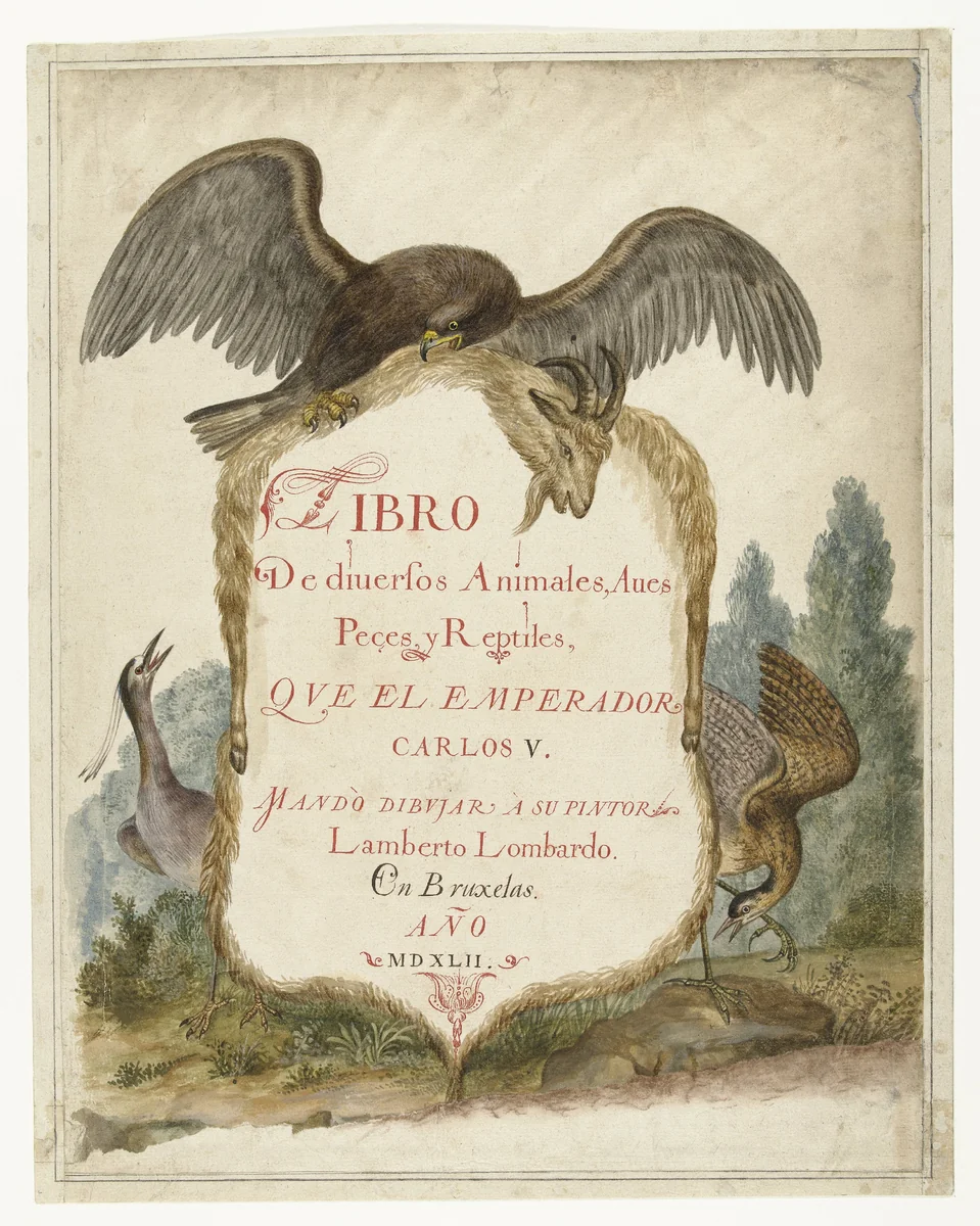 Cartouche opgehouden door een steenarend, kwak en roerdomp by anonymous, drawing, 1585