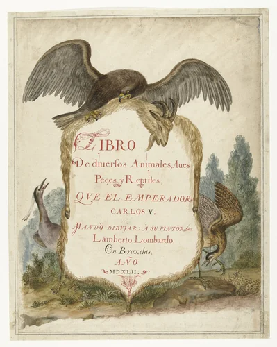 Cartouche opgehouden door een steenarend, kwak en roerdomp by anonymous, drawing, 1585