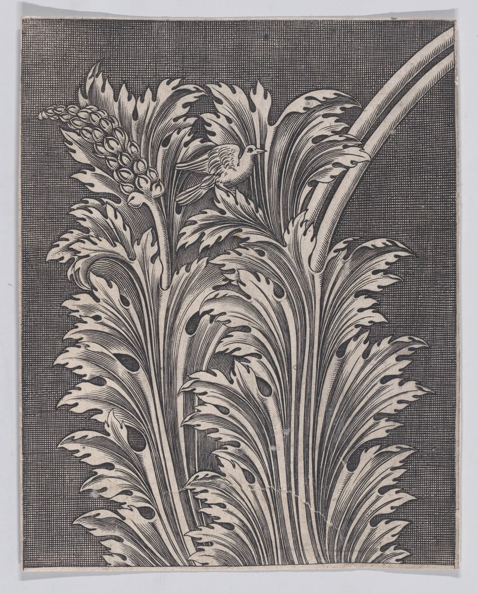 Acanthus Leaves by anonymous, print, 1514-1600