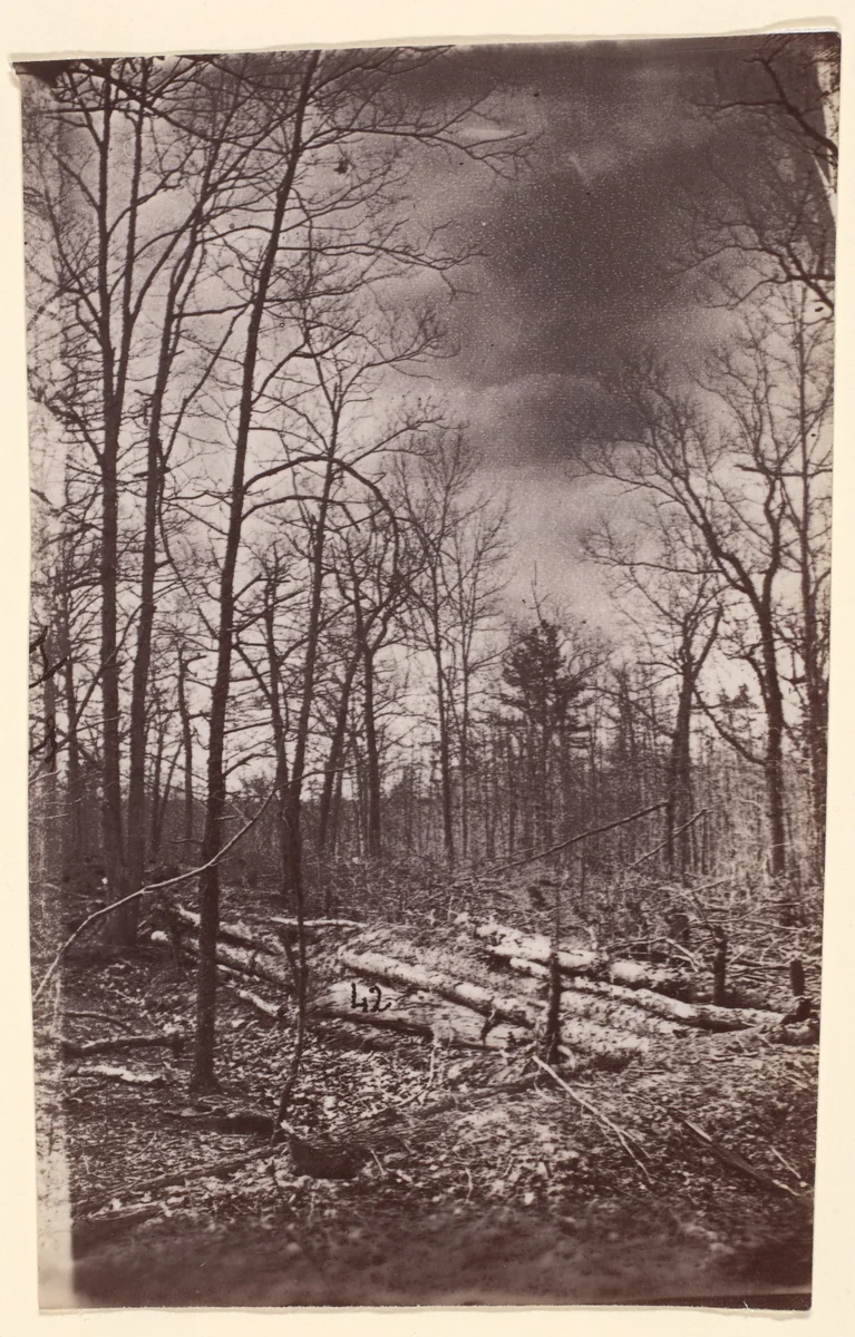 [The Wilderness Battlefield] by G. O. Brown, photograph, 1866