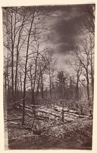 [The Wilderness Battlefield] by G. O. Brown, photograph, 1866