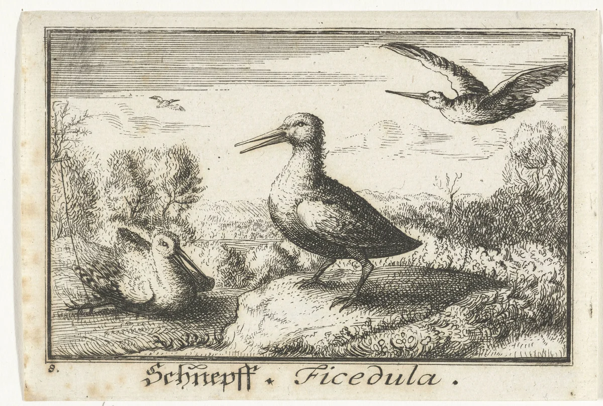 Landschap met drie snippen by anonymous, print, 1659-1741