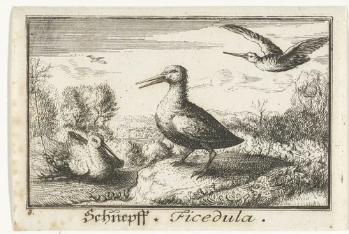 Landschap met drie snippen by anonymous, print, 1659-1741