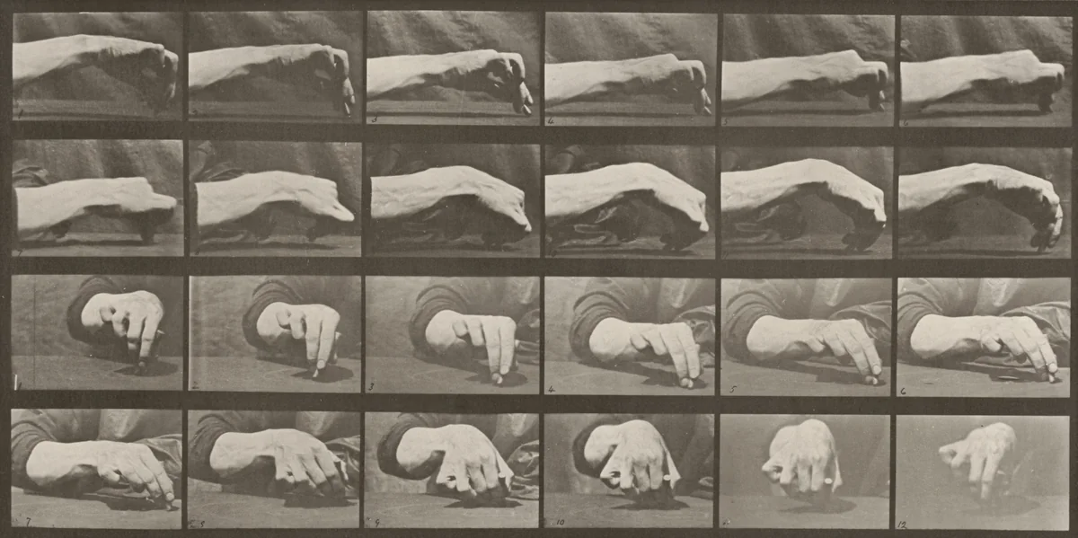 Plate Number 532. Movement of the hand, drawing a circle by Eadweard Muybridge, photograph, 1887