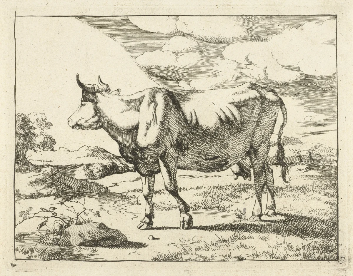 Staande koe naar links by Marcus de Bye, print, 1657-1677