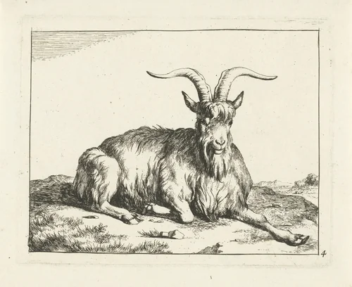 Liggende geit de voorpoot uitgestrekt by Marcus de Bye, print, 1657-1677