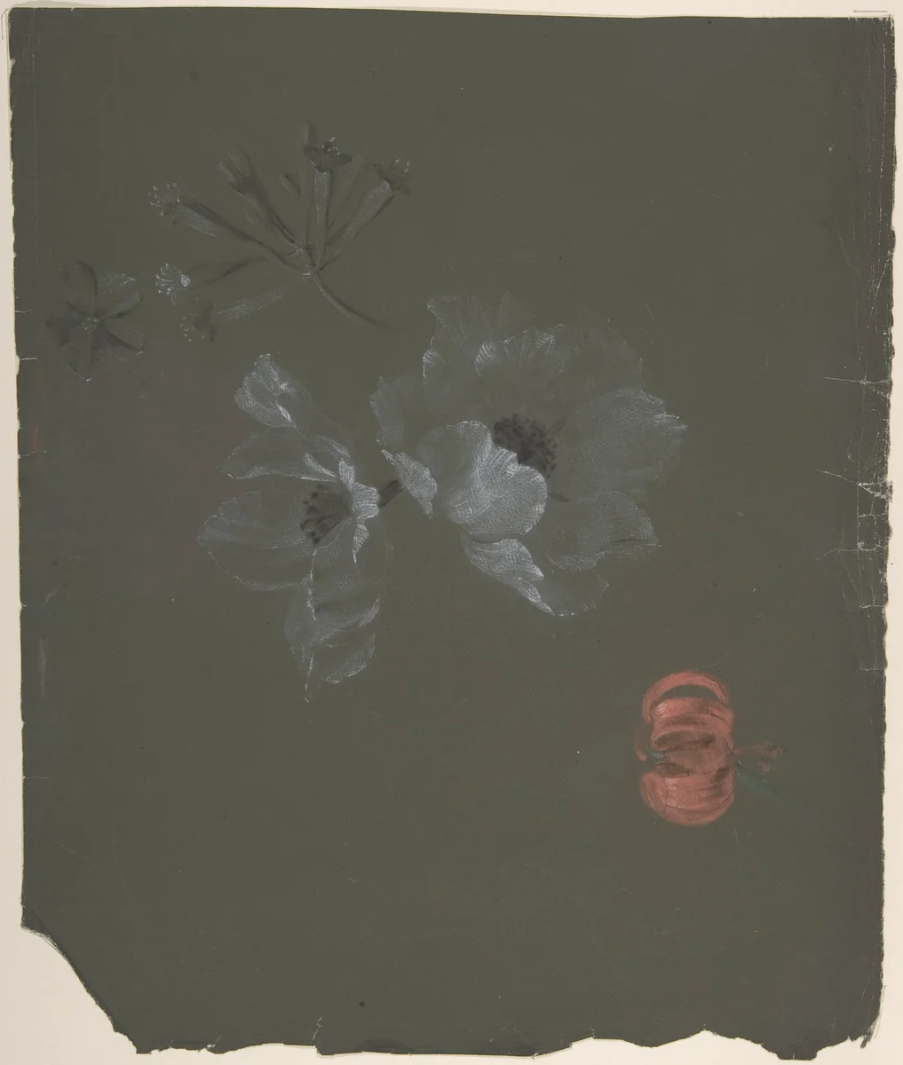 Floral Design by Antoine Berjon, drawing, 1770-1843