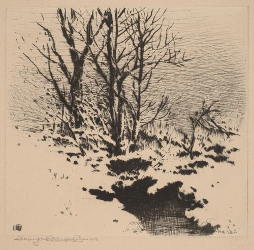 The First Snow (no.2) by George Elbert Burr, print, 1921-1931