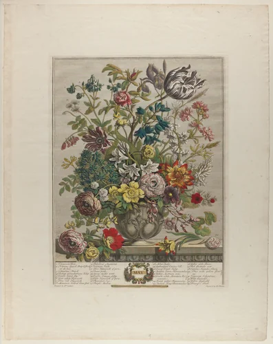 May, from Twelve Months of Flowers by Henry Fletcher
Peter Casteels III, print, 1730-1750