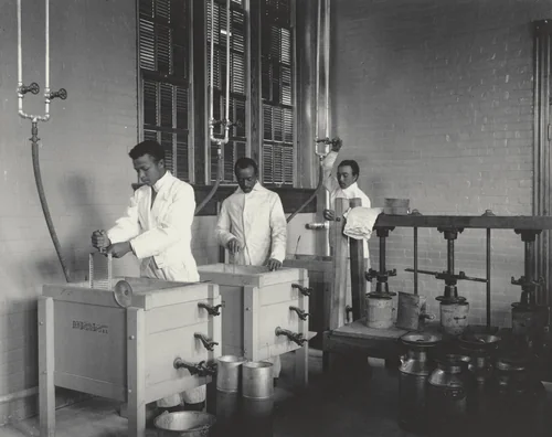 Agriculture. Cheese-making by Frances Benjamin Johnston, photograph, 1899