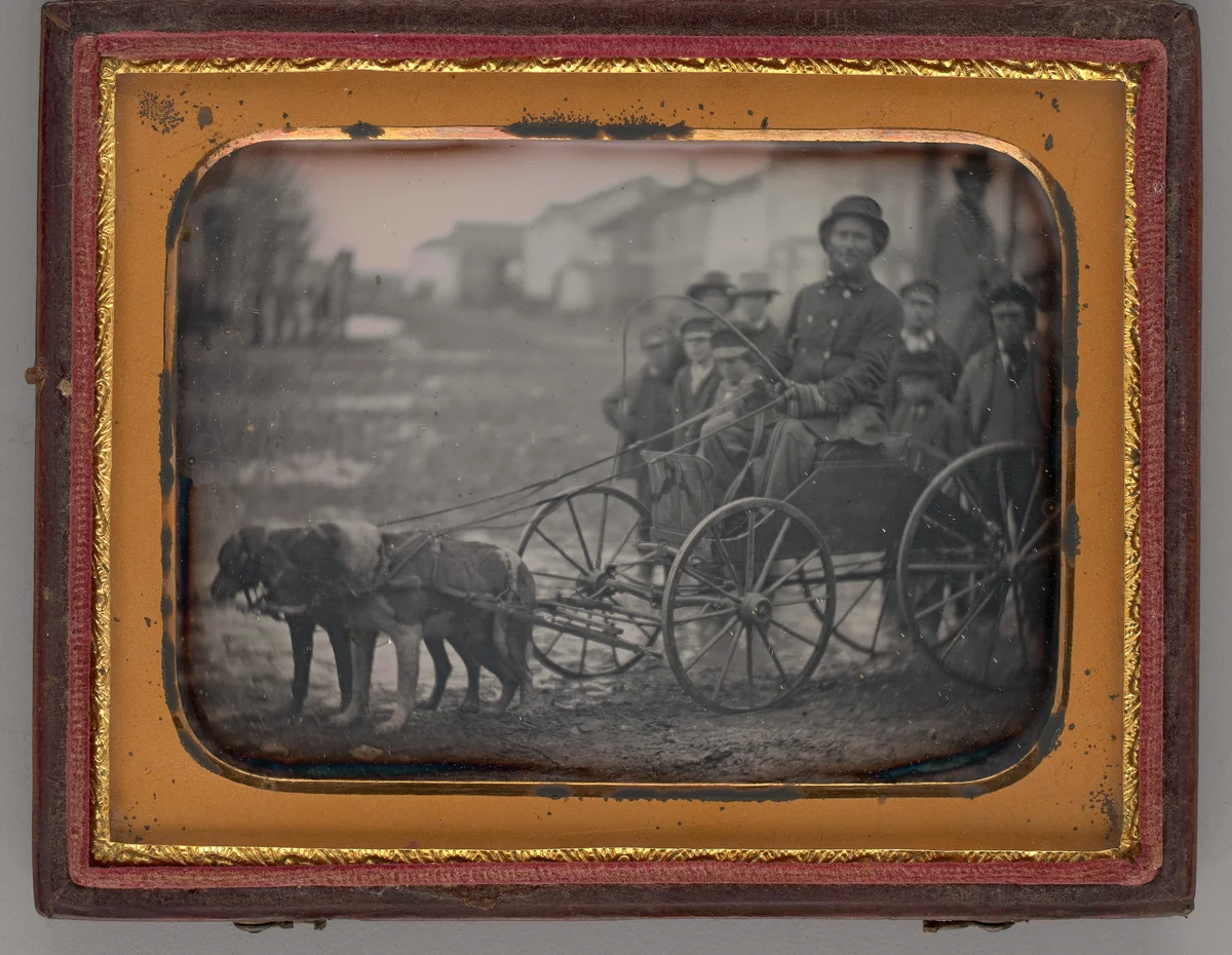 Untitled (Alfred Crandon Dog Team) by Unknown maker, other, 1850