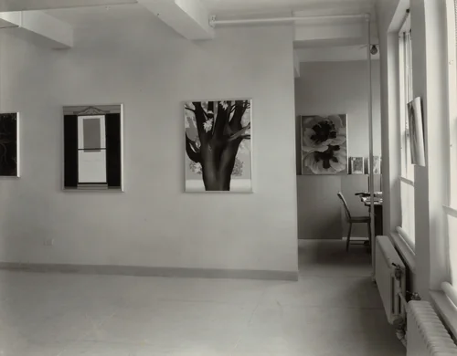 Georgia O'Keeffe—Exhibition at An American Place by Alfred Stieglitz, photograph, 1930