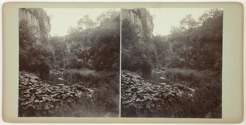 Untitled (Miller's Dale) by Artist Unknown, photograph, 1860-1869