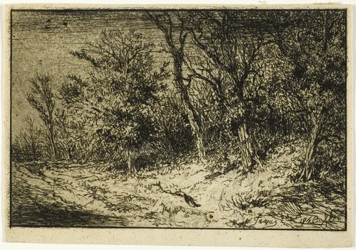 Road at the Edge of a Wood by Charles-Émile Jacque, print, 1846