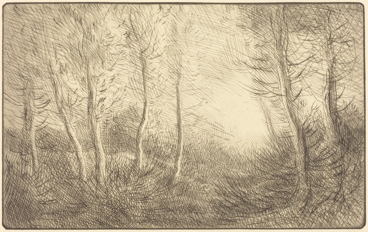 Sunrise, Woods of Clamard (Lever du soleil, bois de Clamard) by Alphonse Legros, print, 1837-1911