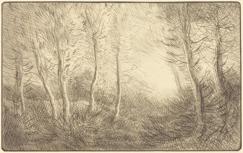 Sunrise, Woods of Clamard (Lever du soleil, bois de Clamard) by Alphonse Legros, print, 1837-1911