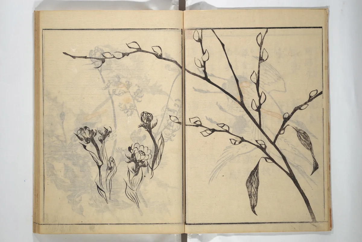 Soken Picture Album: The Plant Section (Soken gafu: Sōka no bu) 素絢画譜 草花之部 by Yamaguchi Soken (山口素絢), book, 1807
