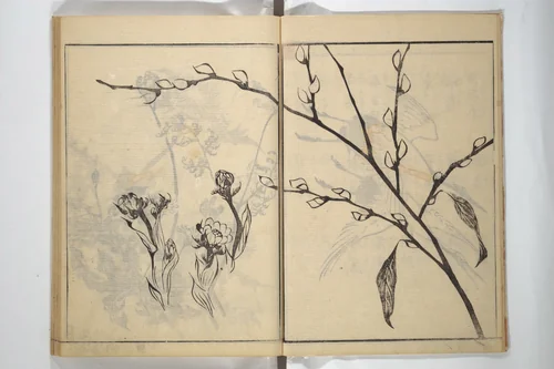 Soken Picture Album: The Plant Section (Soken gafu: Sōka no bu) 素絢画譜 草花之部 by Yamaguchi Soken (山口素絢), book, 1807