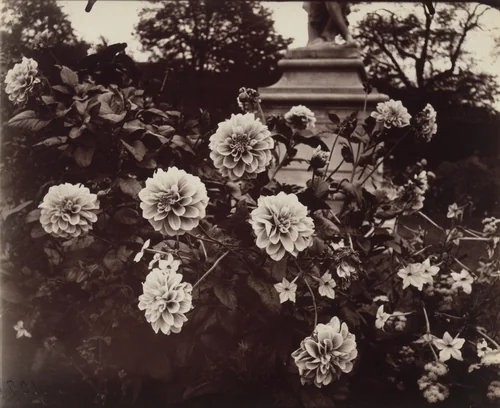 Tuileries by Eugène Atget, photograph, 1921