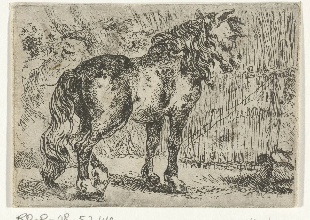 Paard by Joannes Fijt, print, 1621-1661