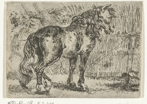 Paard by Joannes Fijt, print, 1621-1661