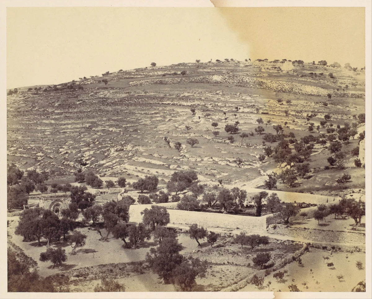 [Garden of Gethsemane and the Tomb of the Virgin, Jerusalem] by John Anthony, photograph, 1860-1869