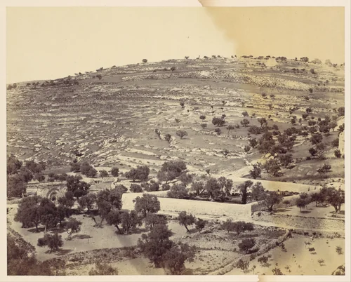 [Garden of Gethsemane and the Tomb of the Virgin, Jerusalem] by John Anthony, photograph, 1860-1869