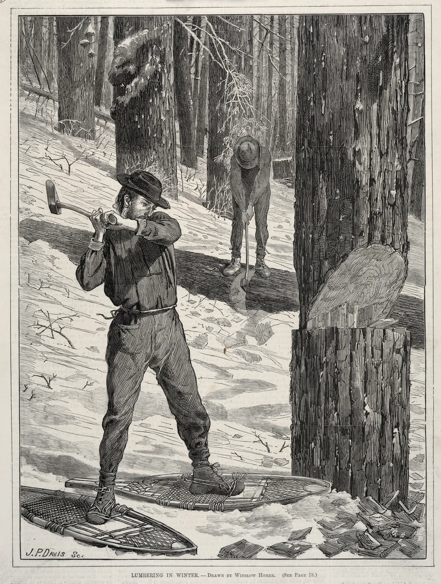 Lumbering in Winter by Winslow Homer, print, 1871